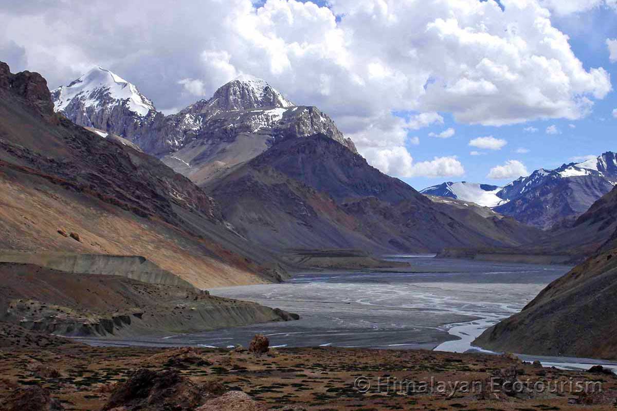 De Tso Moriri à Kibber Trek