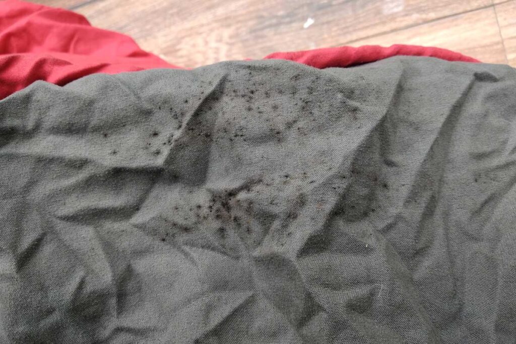Stains of fungus on an unchecked sleeping bag