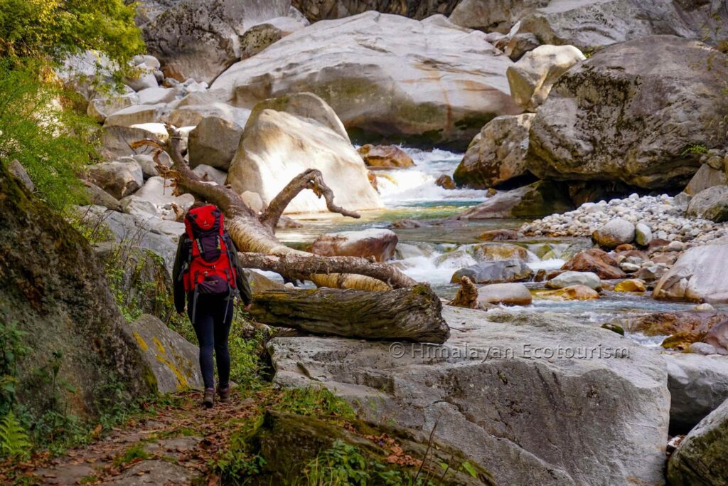 Experience the stunning beauty of GHNP along the Tirthan river