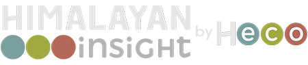light logo