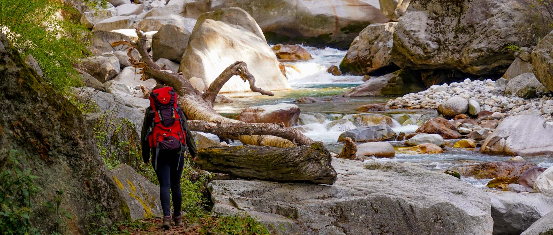 trekking in the Great Himalayan National Park