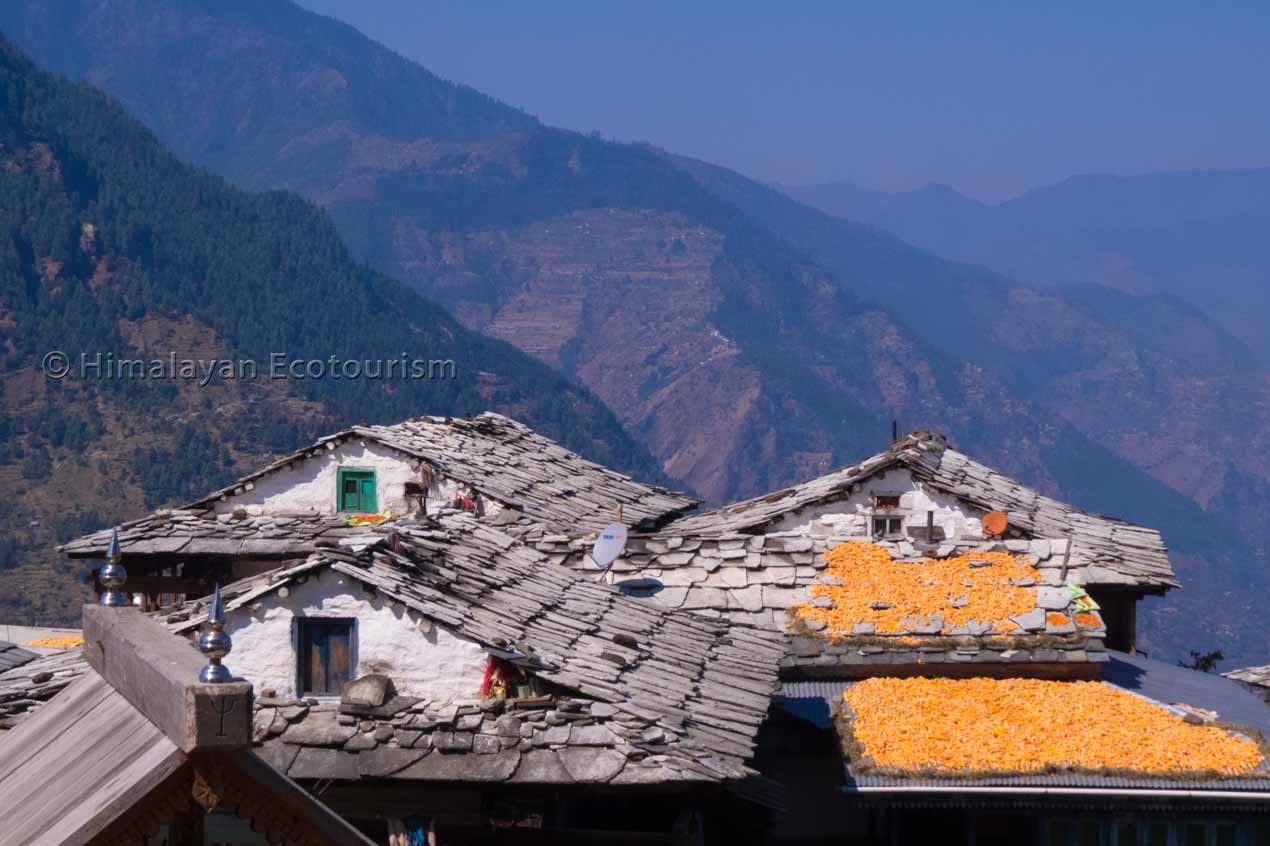 Local Himachali villages in the Tirthan Valley