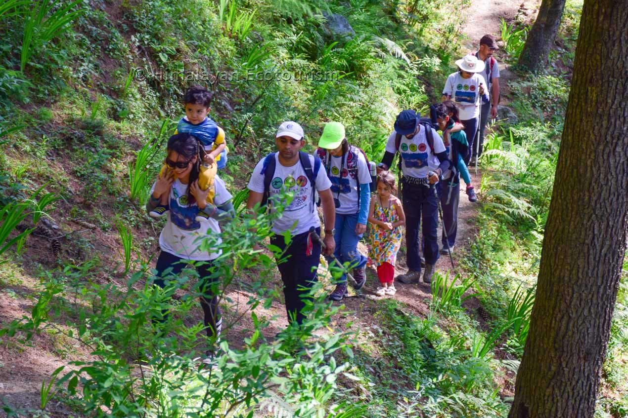Easy day hike to Chehni Kothi through Deodar forest