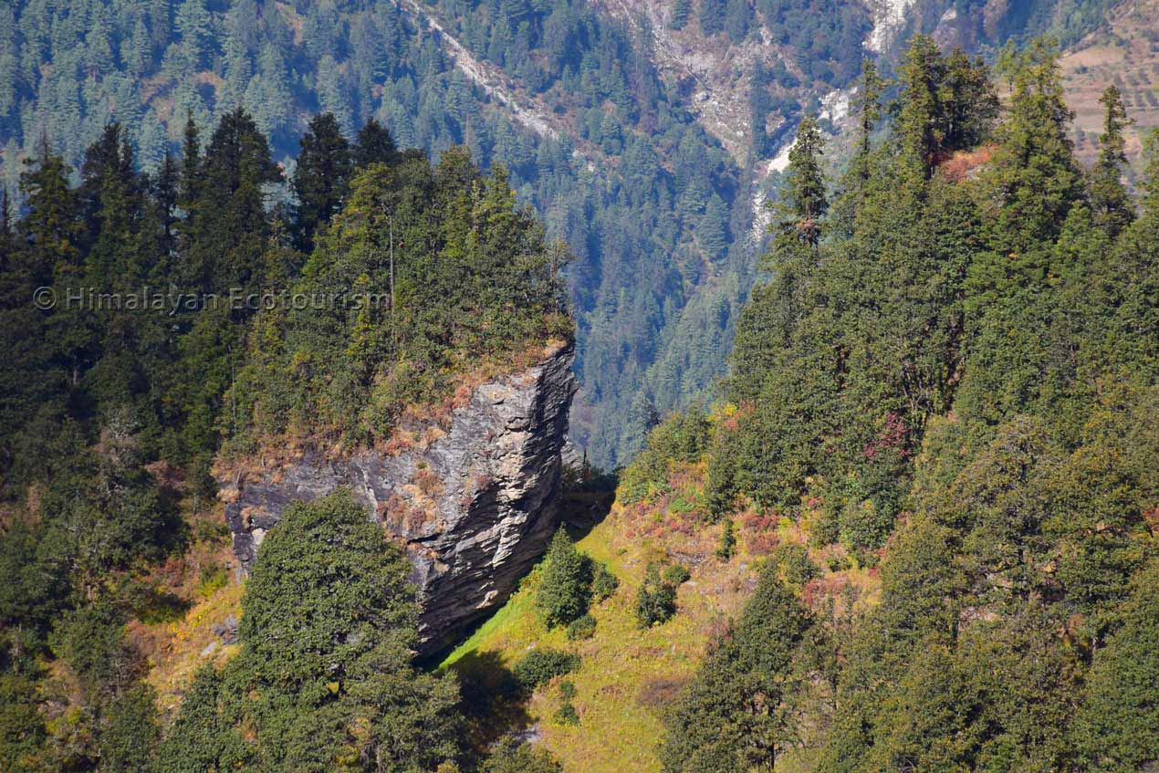 Landscapes on Jalori Pass hike