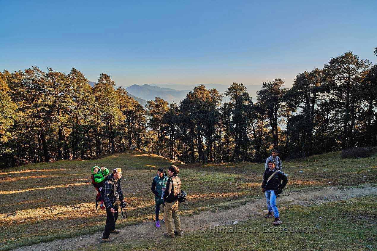 The trail to Serolsar lake near Jalori Pass