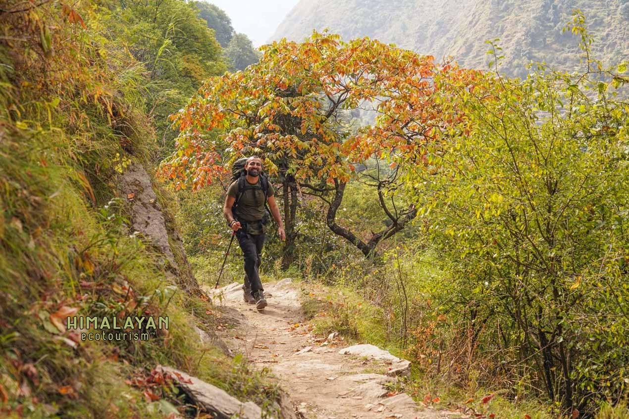 Great Himalayan National Park in Autumn