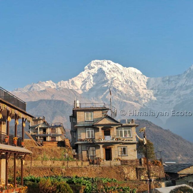 Guesthouse - Annapurna Gurung Heritage Trail