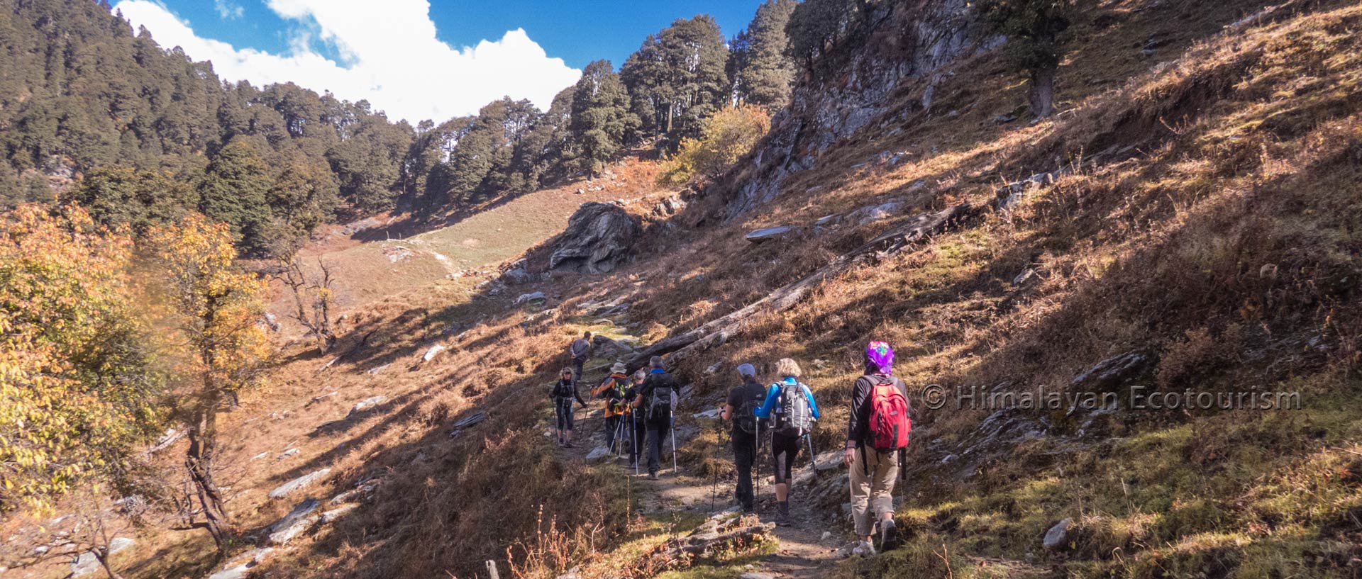 Wild trails in the Great Himalayan National Park