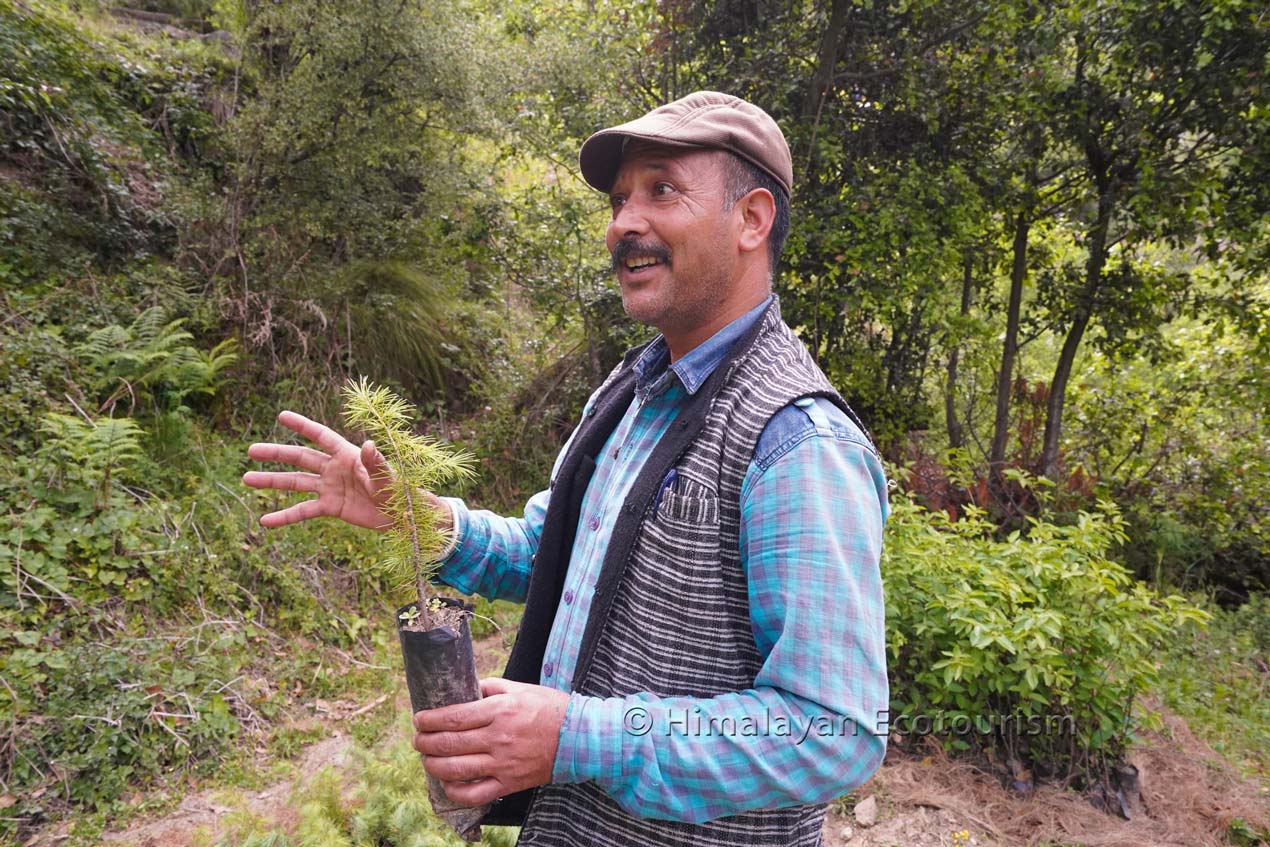 Chef local du Himalayan Insight - Keshav Thakur