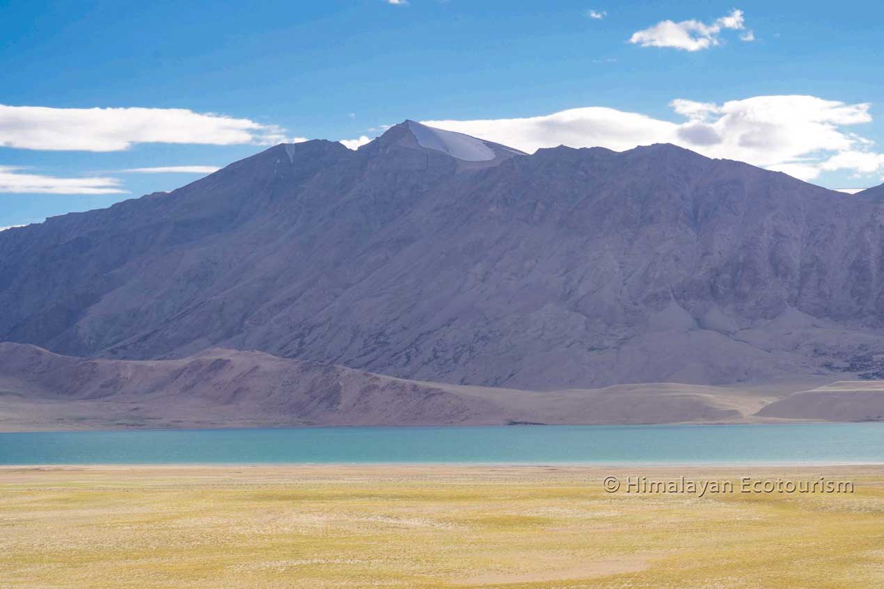 Kiagar Tso, Ladakh