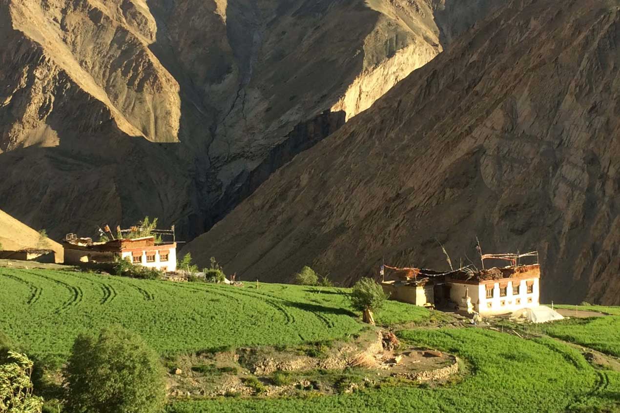 Village de Lingshed - Zanskar - maisons avec champs
