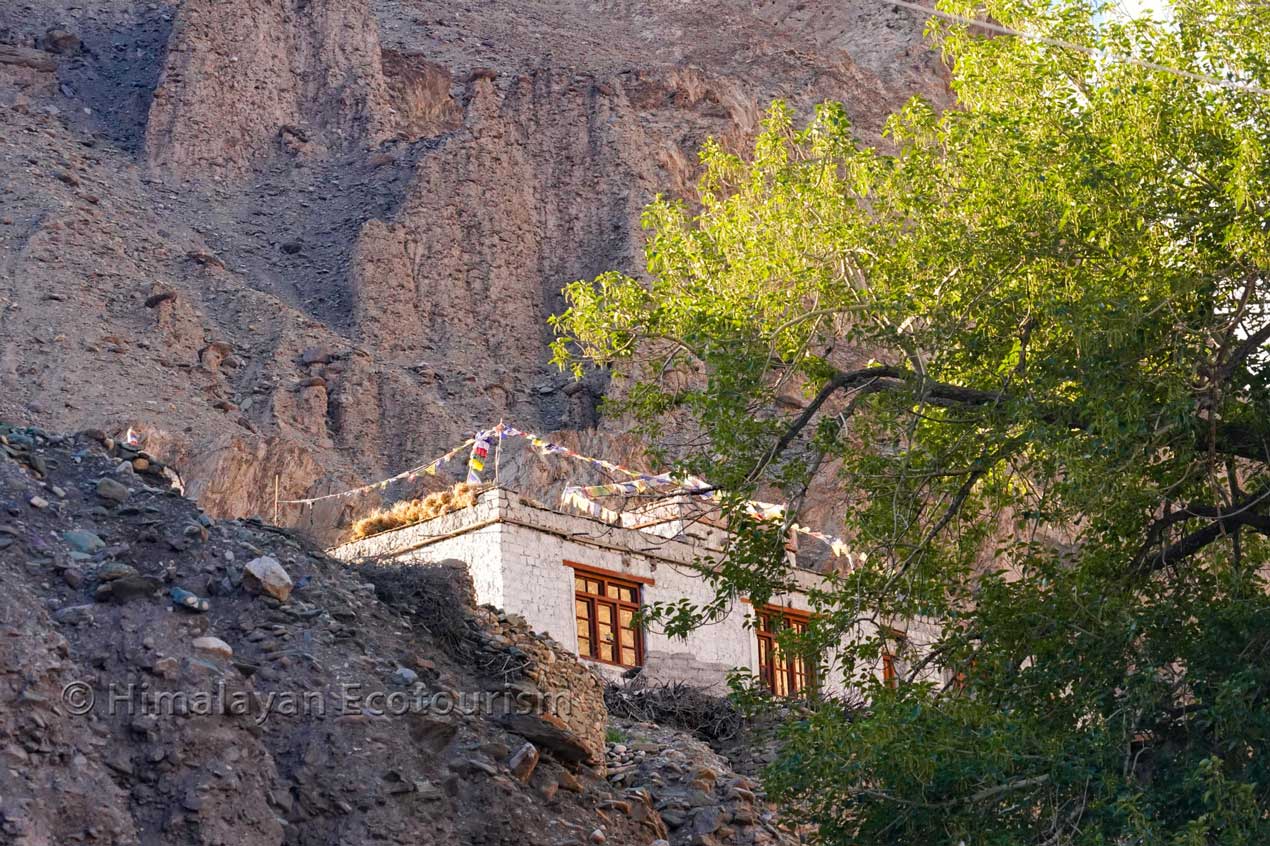 Un séjour chez l'habitant dans le village de Markha, au Ladakh
