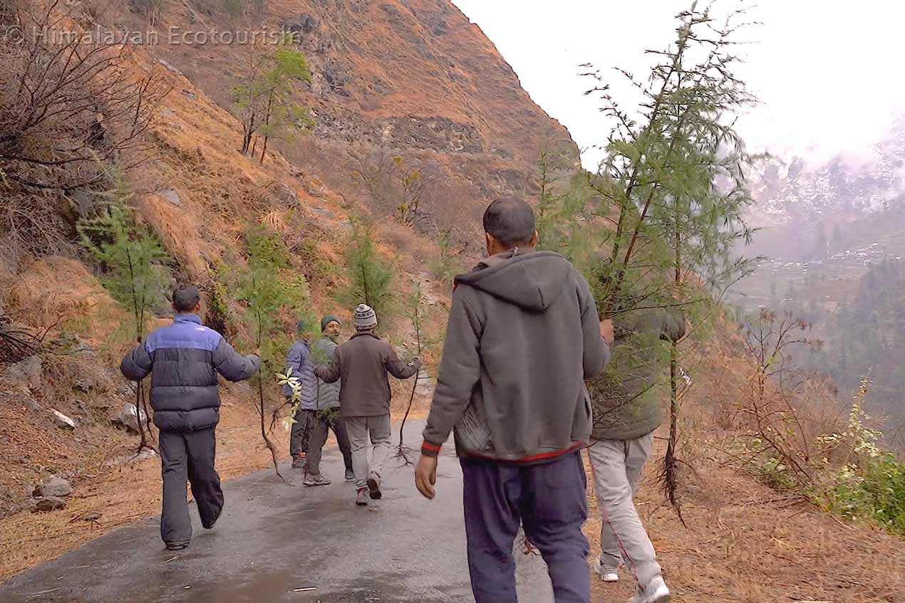 Programme de reforestation de Himalayan Ecotourism dans l'écozone de Great Himalayan National Park