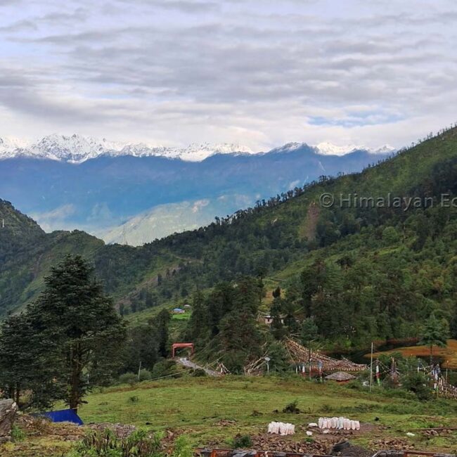 Vues fascinantes sur les montagnes depuis les forêts du sentier de la vallée de Ruby