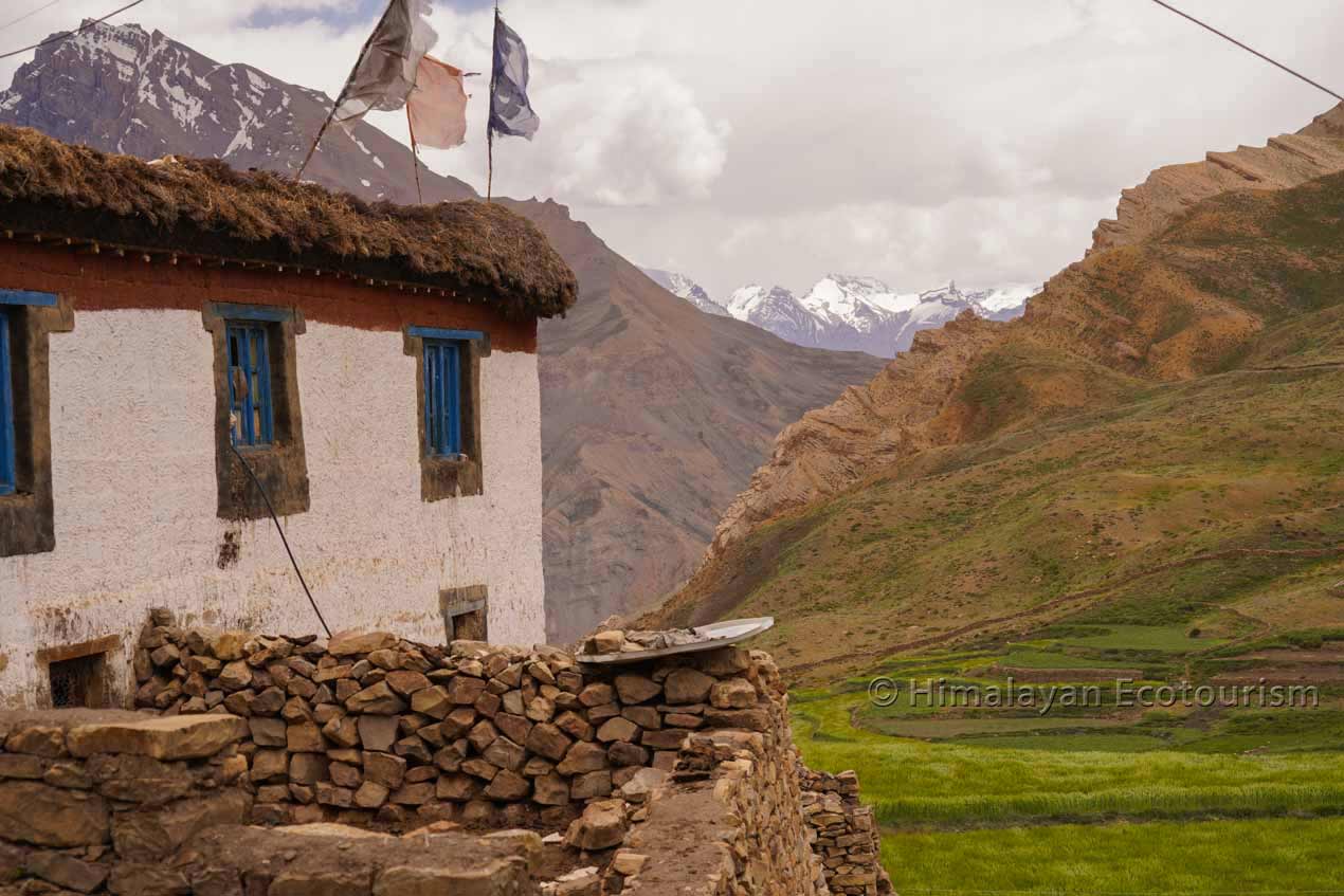 Homestay in Demul village, Spiti valley.