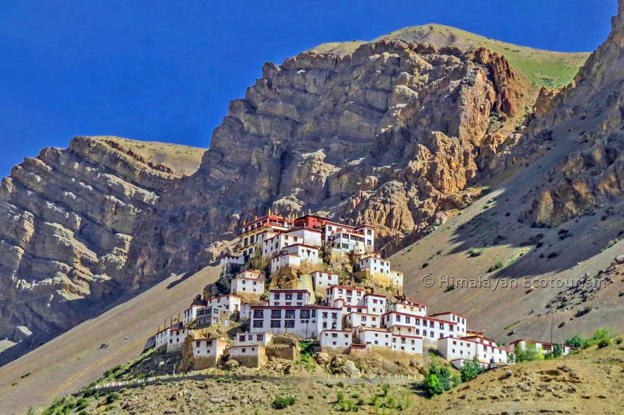 Key monastery, Spiti valley.