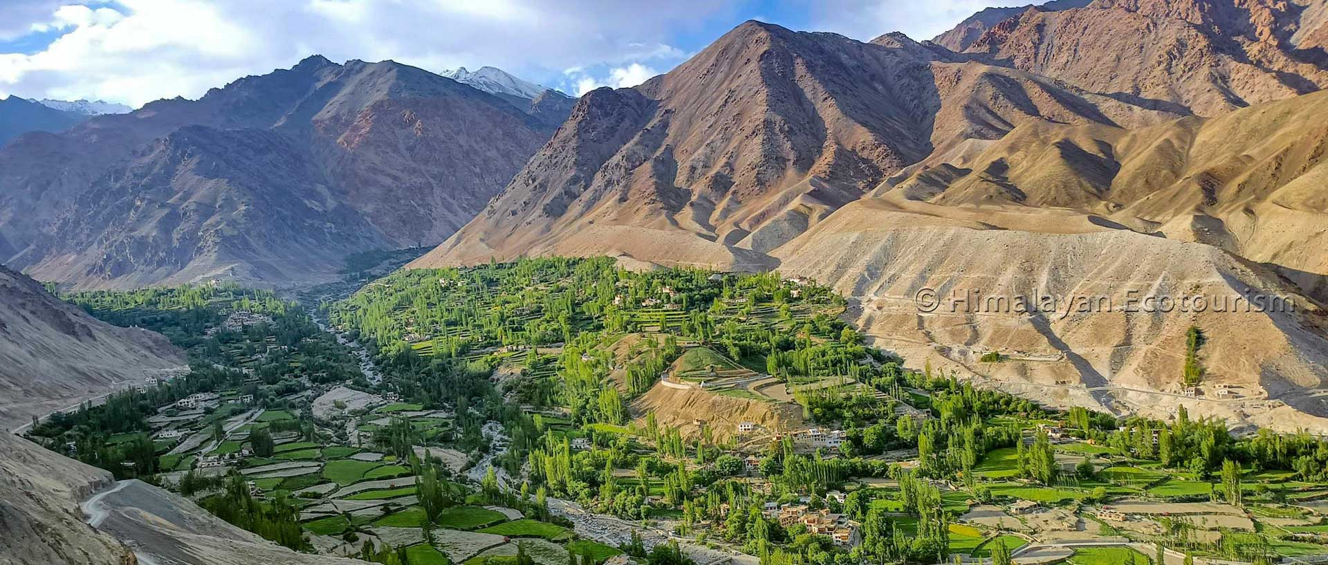 View of the Tia village in Ladakh