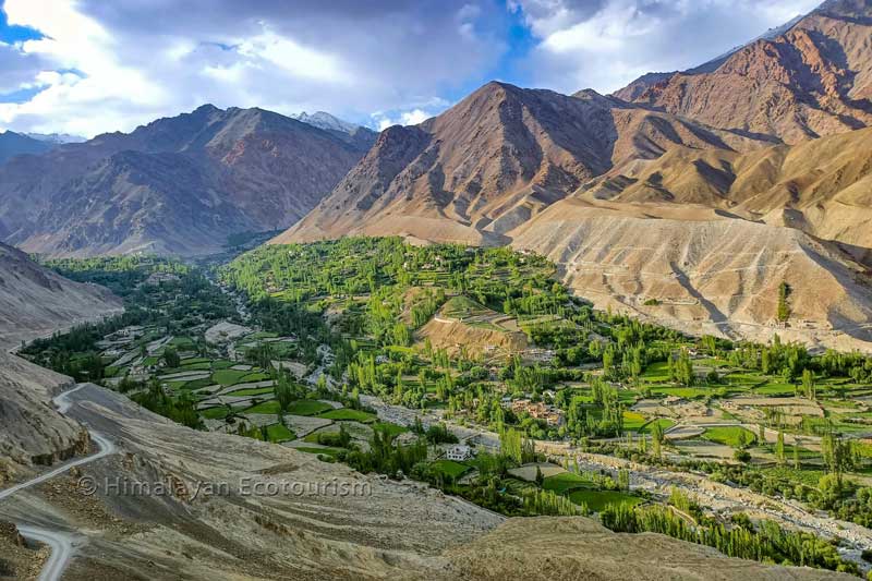 Tia Village