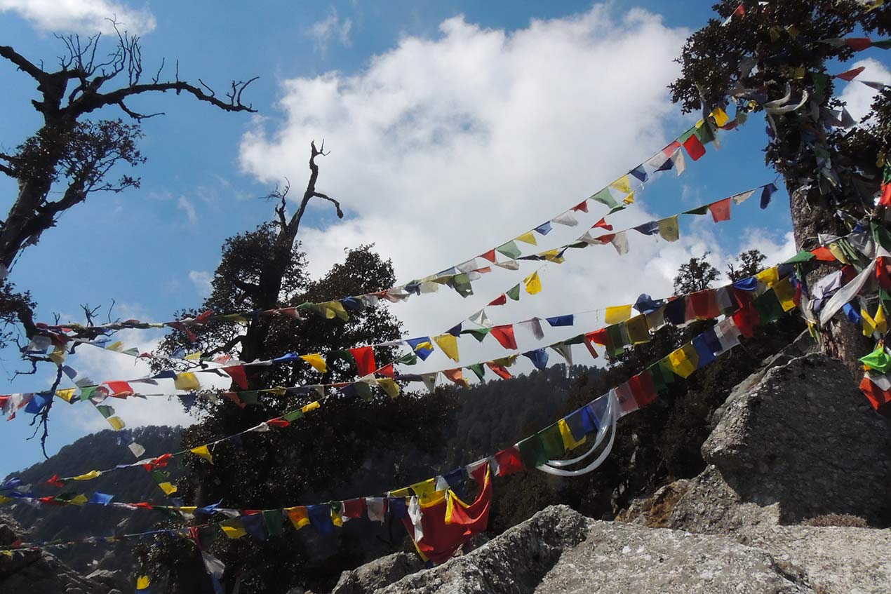 Tibetan Prayer flags on the way to the Triund top