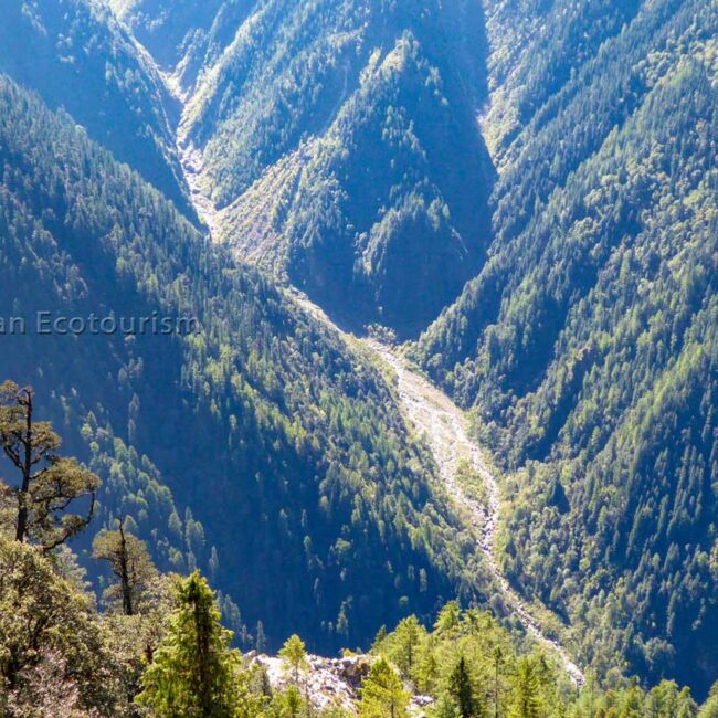 Randonnée de Tirth dans le GHNP - Les écosystèmes vierges