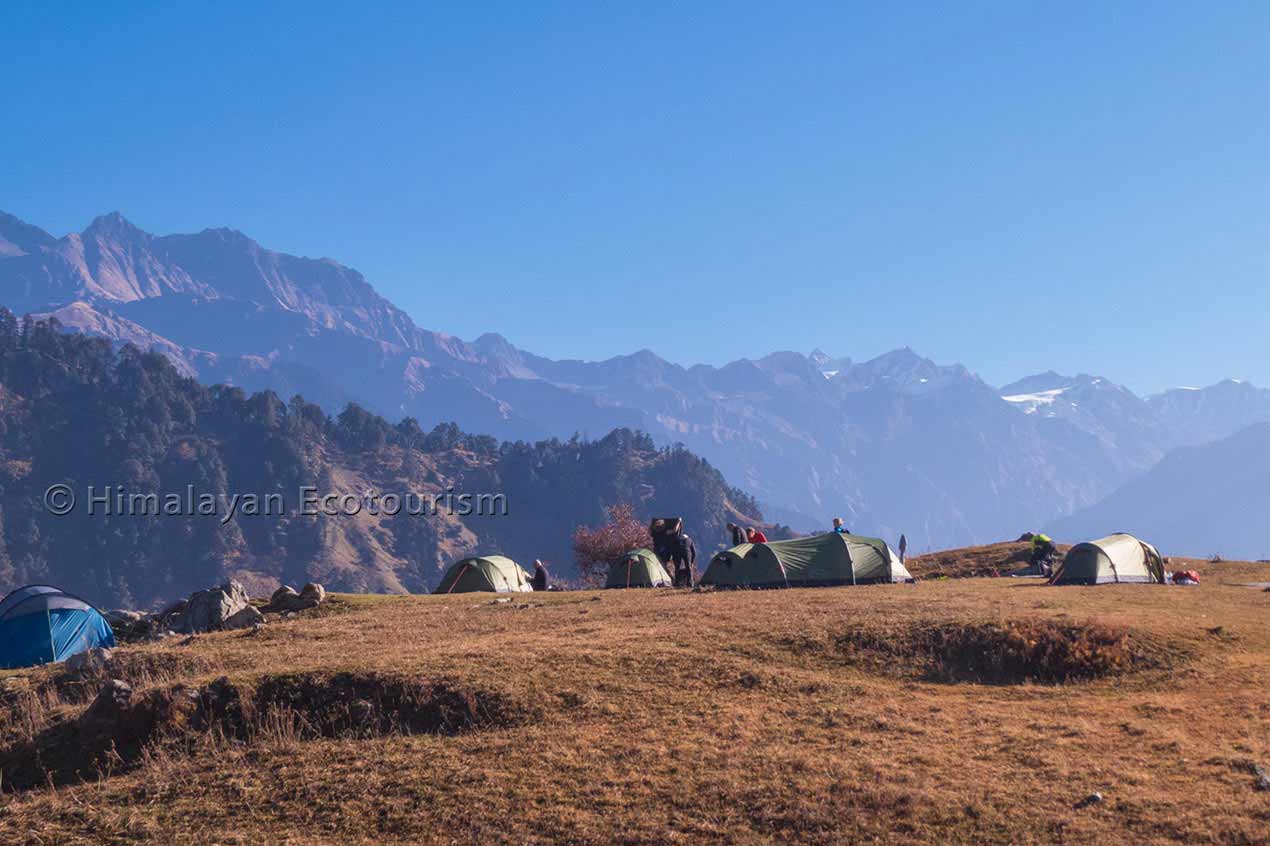 Wildlife Camping in Tirthan Valley