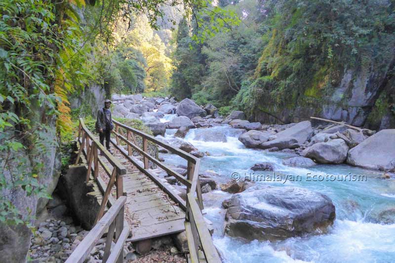 Hiking in the Great Himalayan National Park
