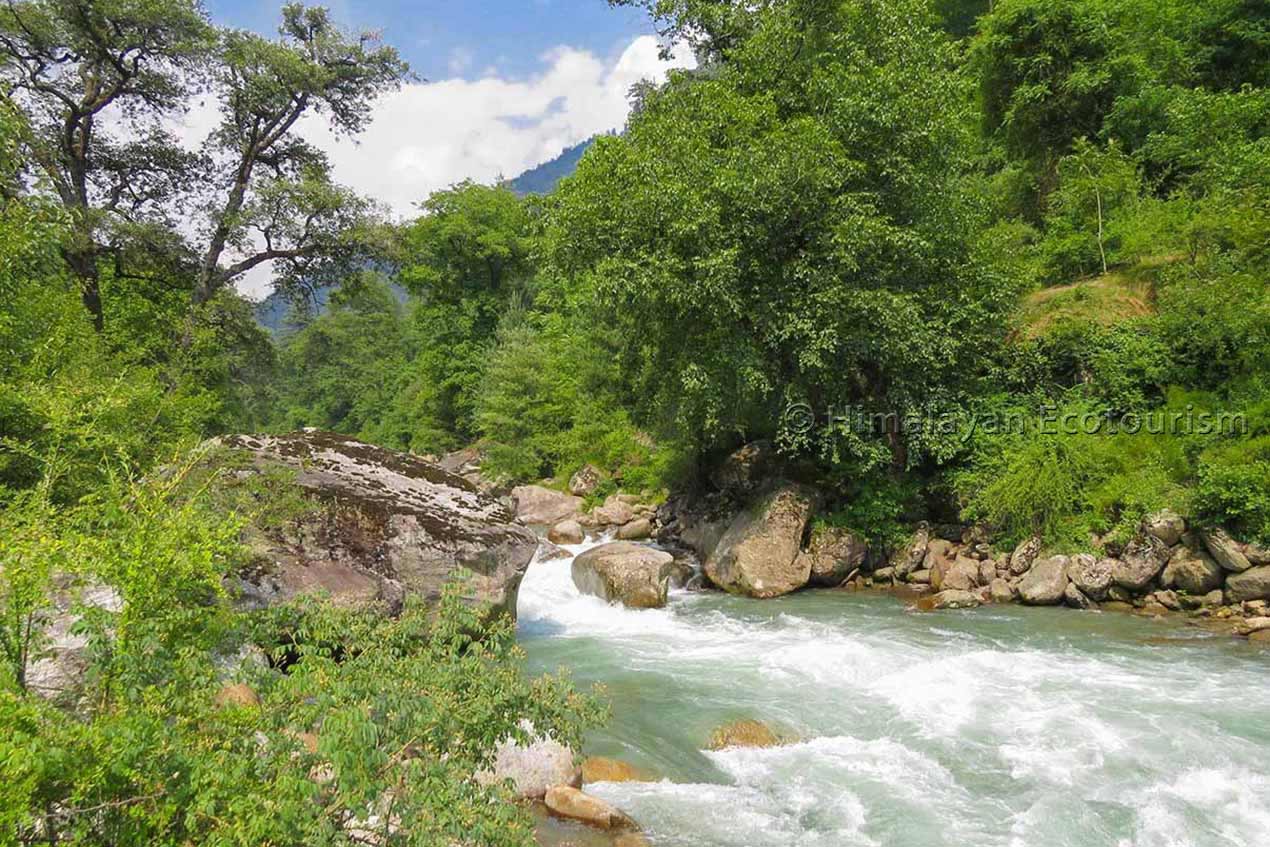 Rivière Tirthan dans l'Himachal Pradesh