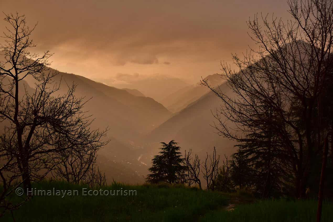 Tirthan Valley Landscape