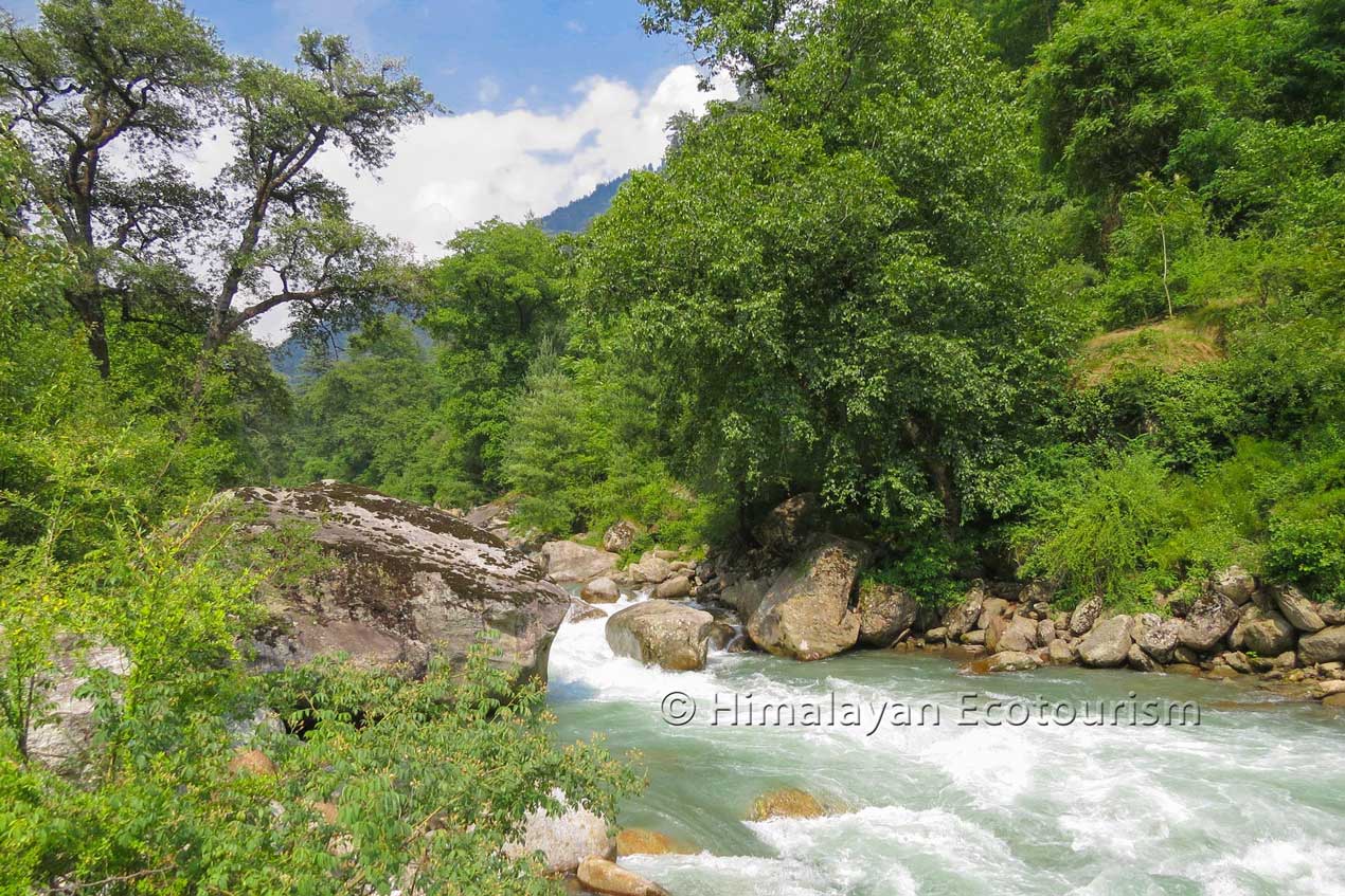 Tirthan valley - riverside