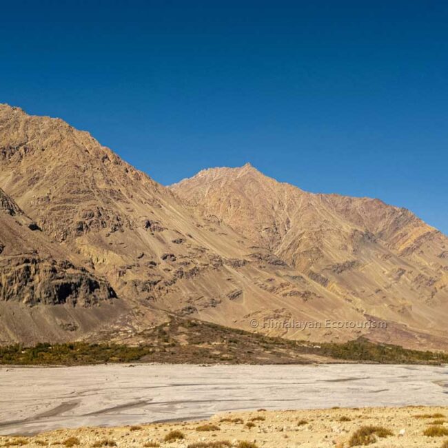 The Yak trek in Ladakh - Near Kargyam