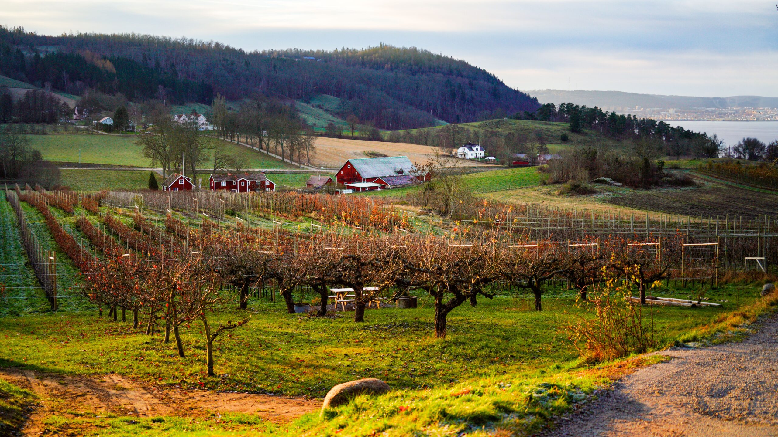 Orchards and Village Landscapes